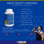 ENERAZON META-YEAST PROTEIN - Image 3